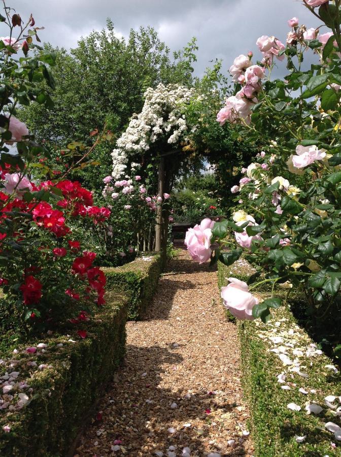 Orchard Cottage, Clematis Cottages, Stamford. Accessible Luxury Home. Extérieur photo