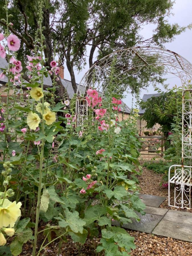 Orchard Cottage, Clematis Cottages, Stamford. Accessible Luxury Home. Extérieur photo
